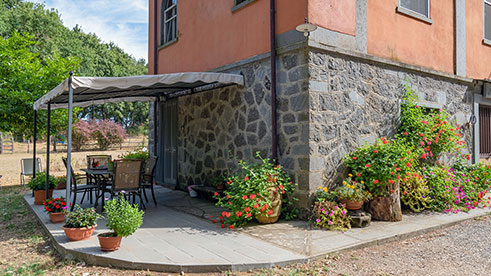 animali del casale